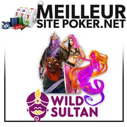 Revue de Wild Sultan Casino